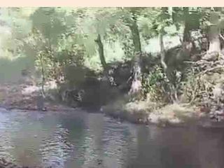 Agricultural land with River near Busuanga International Airport Palawan