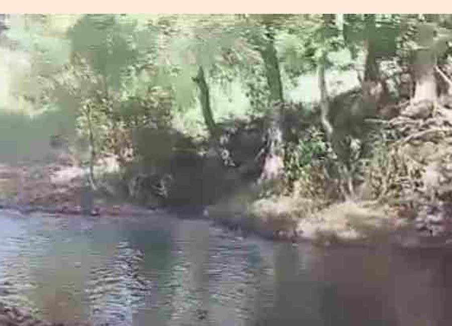 Agricultural land with River near Busuanga International Airport Palawan