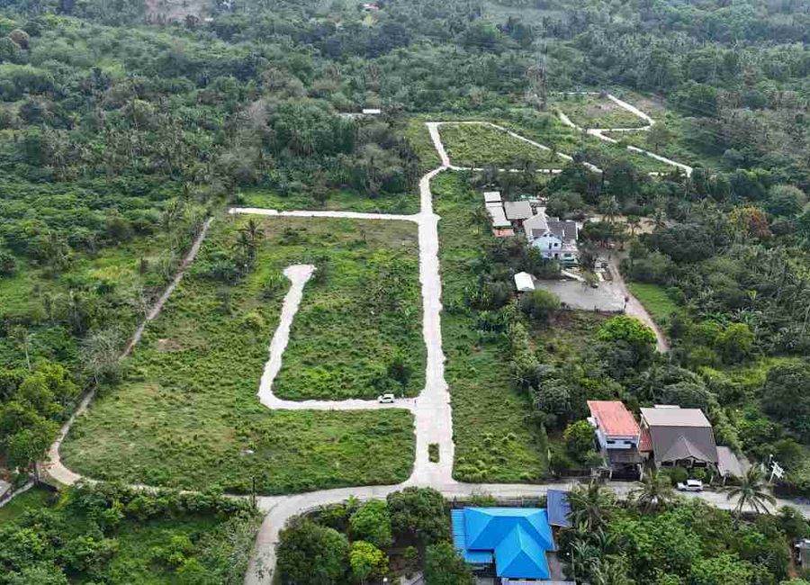 206sqm Titled Resi-farm near Tagaytay city