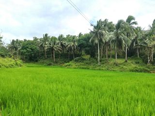 Farm Lot for Sale at Del Gallego Camarines Sur Bicol