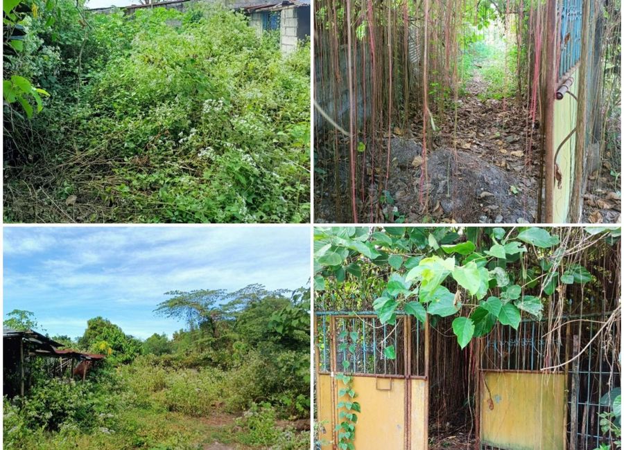 Residential lot near New Clark City