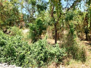 Lot For Sale at General Trias City Cavite near SMDC Zeal and Maple Grove