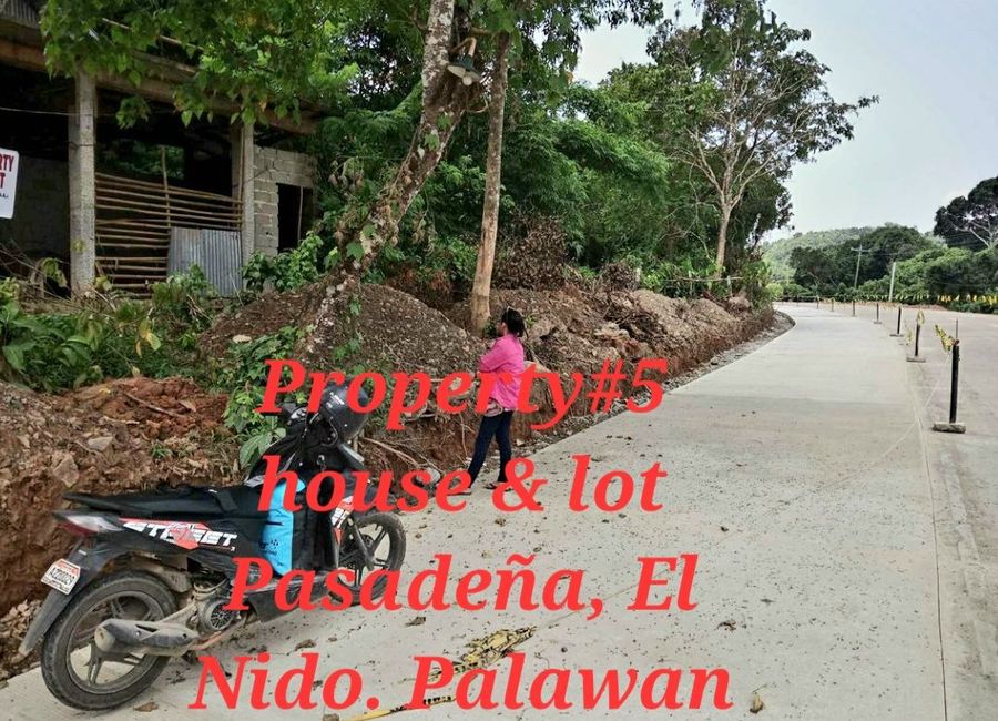 Pasadena el nido palawan