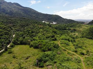 Invest in Laguna's Future: Prime Land for Industrial and Residential Growth