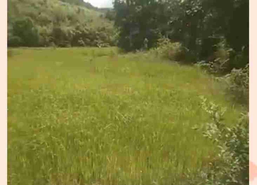 Overlooking Property Coron Palawan