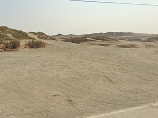 FOR SALE - Agricultural Beachfront Vacant Lot in Laoag City, Ilocos Norte