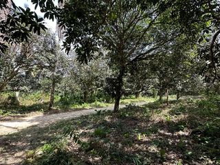 Farm Lot lot for Sale