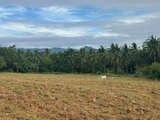 Overlooking Farmlot for Sale for only P14k/month!