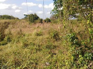 Lot For Sale at Ragay Camarines Sur Bicol 1.6 hectares