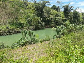 farm lot for sale 1 hectare