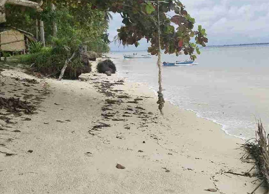 1 Heactare Beachlot for Sale in Balabac Palawan