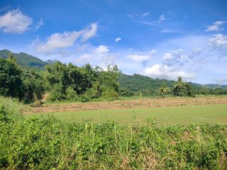 10 Hectares Agricultural lot in Bataraza Palawan