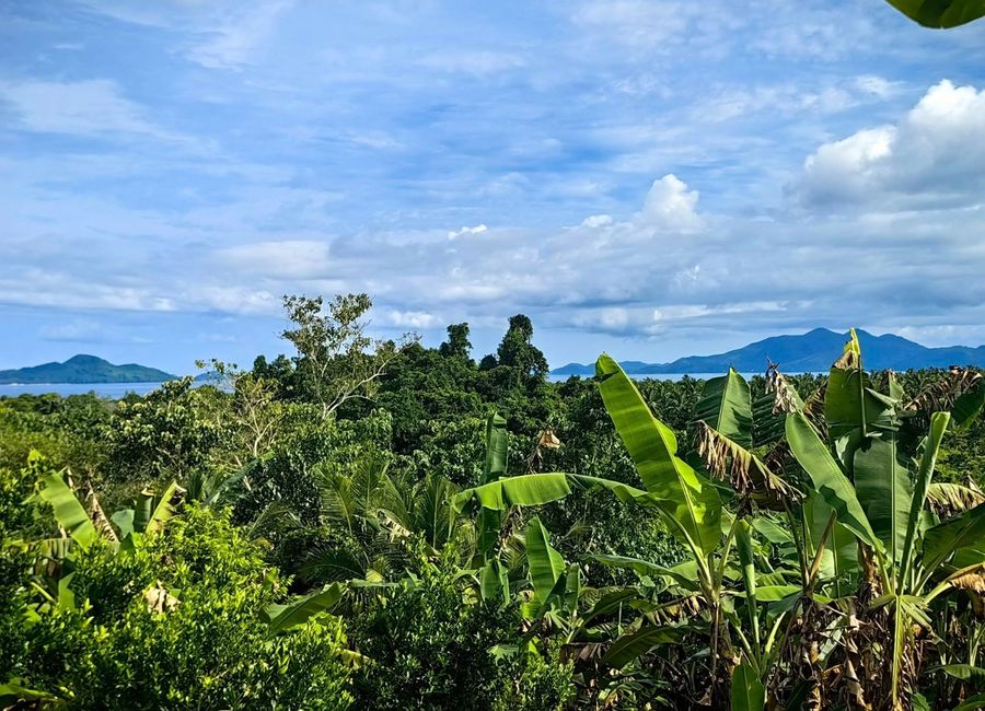 2000sqm Overlooking Residential Lot in El Nido Palawan