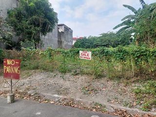 335sqm Vacant Residential Lot in Angela Village, Las Pinas City