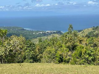 Awesome Overlooking Siquijor Lot for Sale