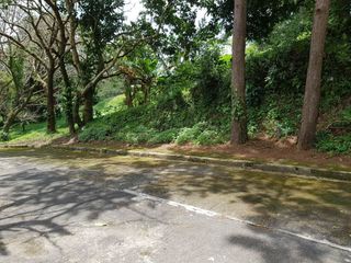 FOR Sale- Canyon Woods Lot in Phase 1 With Surrounding Pine Trees