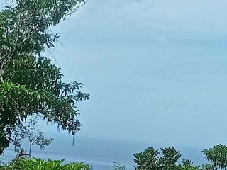 Overlooking  lot in Siquijor for sale