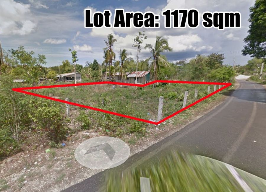 PRIME RESIDENTIAL & COMMERCIAL LOT FOR SALE IN BOHOL