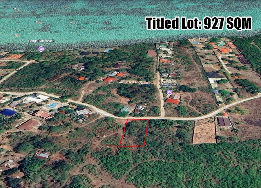 🌴 PRIME BEACH-ACCESS RESIDENTIAL & COMMERCIAL LOT FOR SALE IN DAUIS, BOHOL