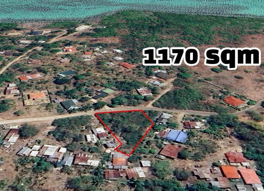 Prime Roadside Residential / Commercial Lot for Sale in Dauis, Bohol | 1,170 sqm