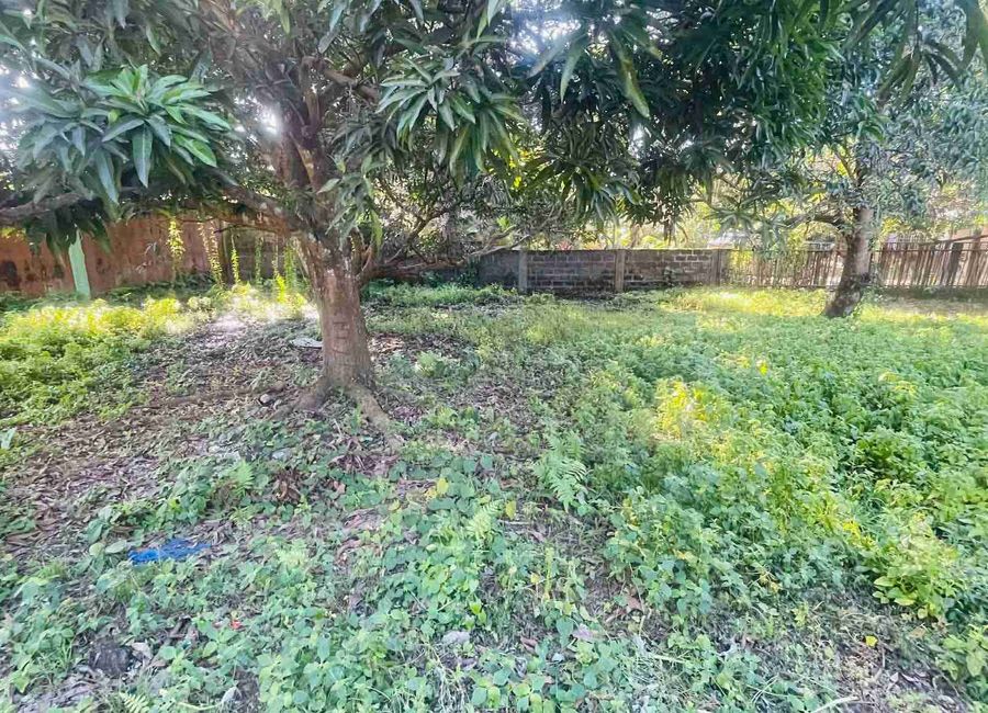 FOR SALE RESIDENTIAL LOT