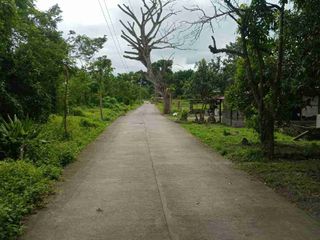 Lot for Sale San Juan Batangas Brgy. Janao-Janao