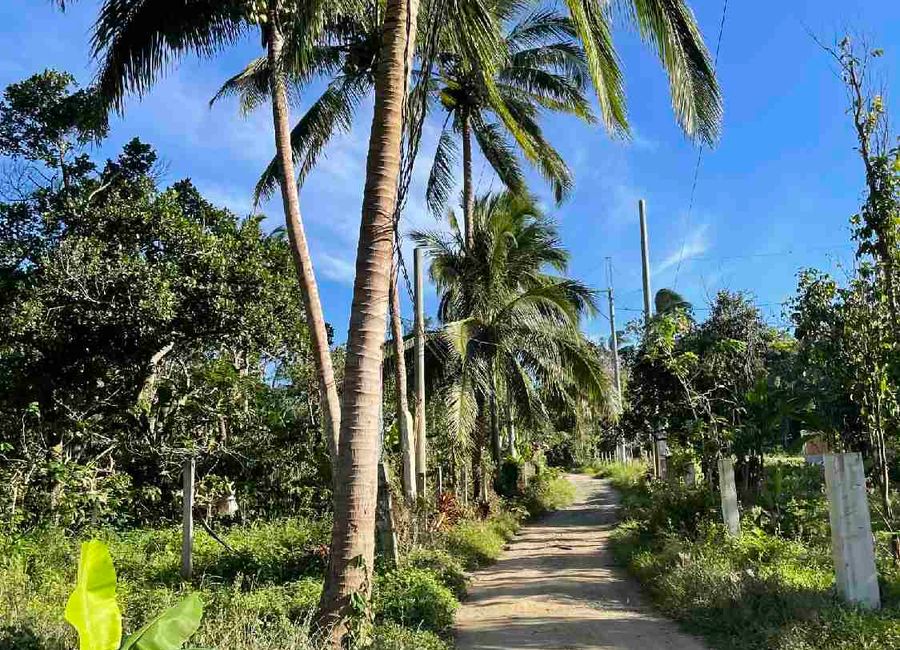 Mangas Alfonso Cavite