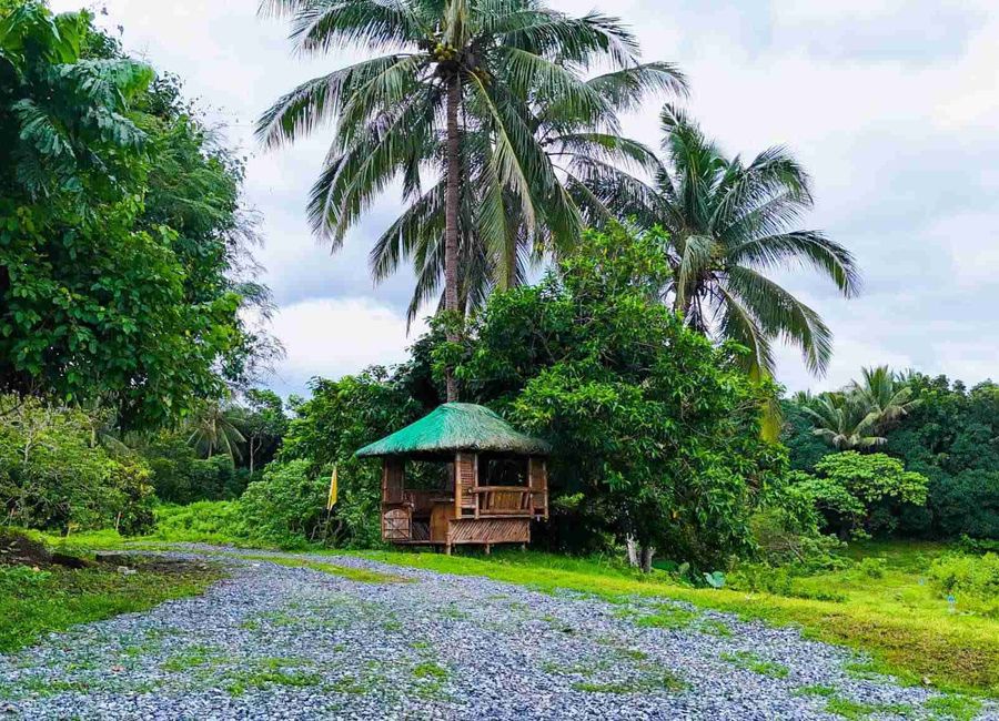 Lot for sale in Halang Amadeo