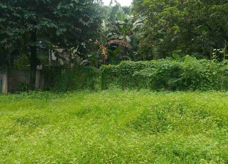 Holiday Hills, San Antonio, San Pedro Laguna 599 sqm. Lot