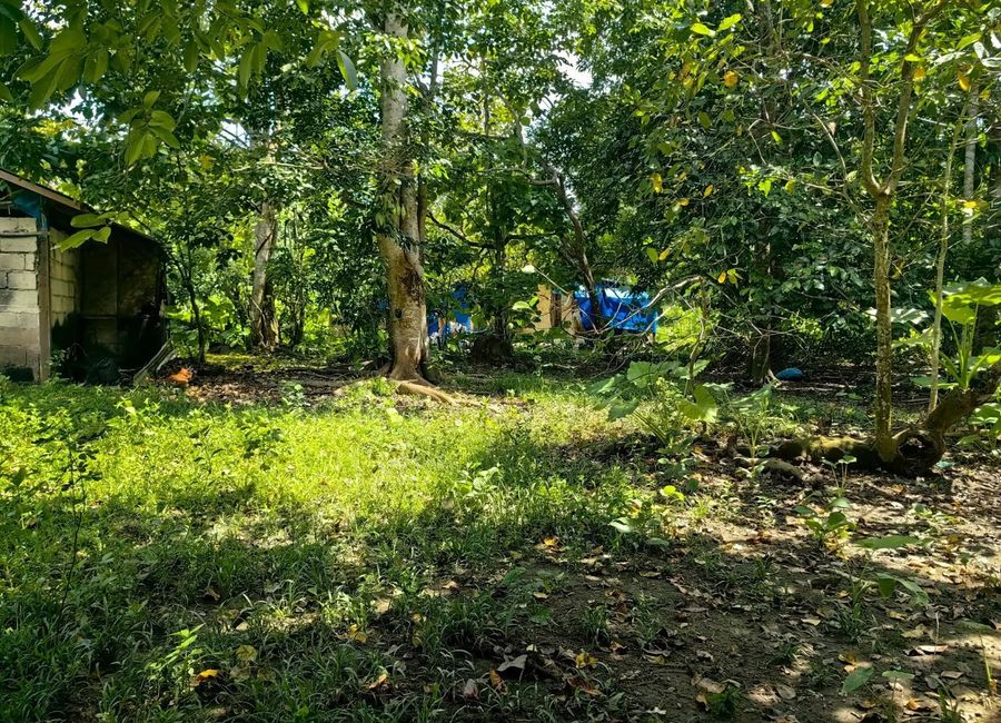 2000sqm Residential lot in El Nido Palawan