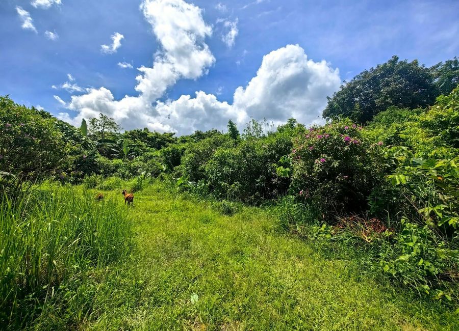 400sqm Residential Lot for sale in El Nido Palawan