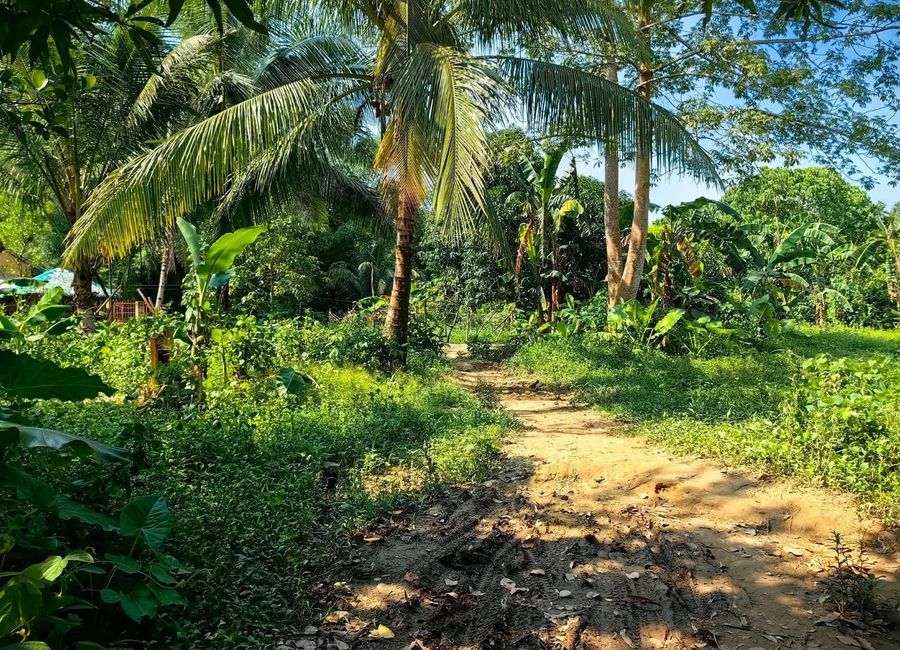 1450sqm Residential Lot for sale in El Nido Palawan