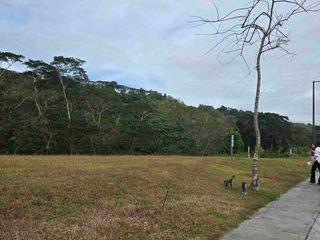 Venido Broadfield Lot Below market value