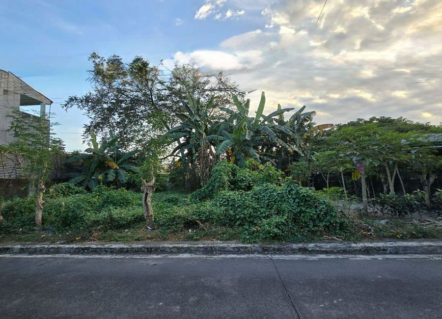 Rare Double-Lot Opportunity in Oro Vista Subd, Marikina City - 306 SQM Total