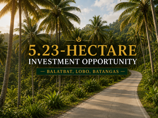 5.23-Hectare Investment Land with Exceptional Potential | Balatbat, Lobo, Batangas