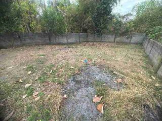 Lot for Sale Paniqui, Tarlac