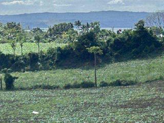 4 hectares Along Highway