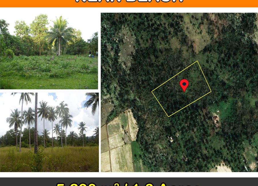 5,290 m2 / 1.3 Acres | Agri-Residential Estate Near Beach