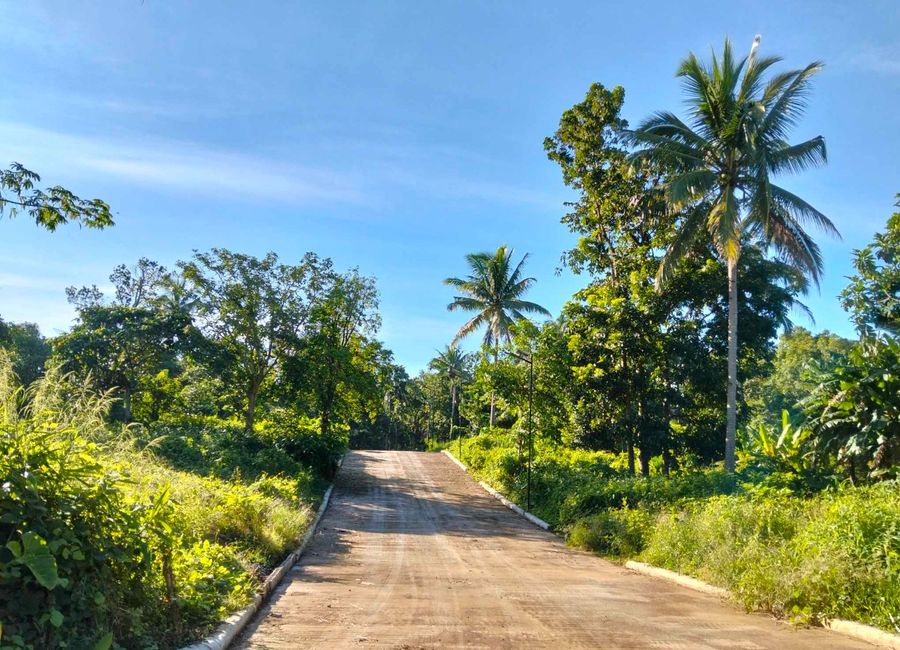 500 SQM FARMLOT FOR SALE IN ALFONSO CAVITE