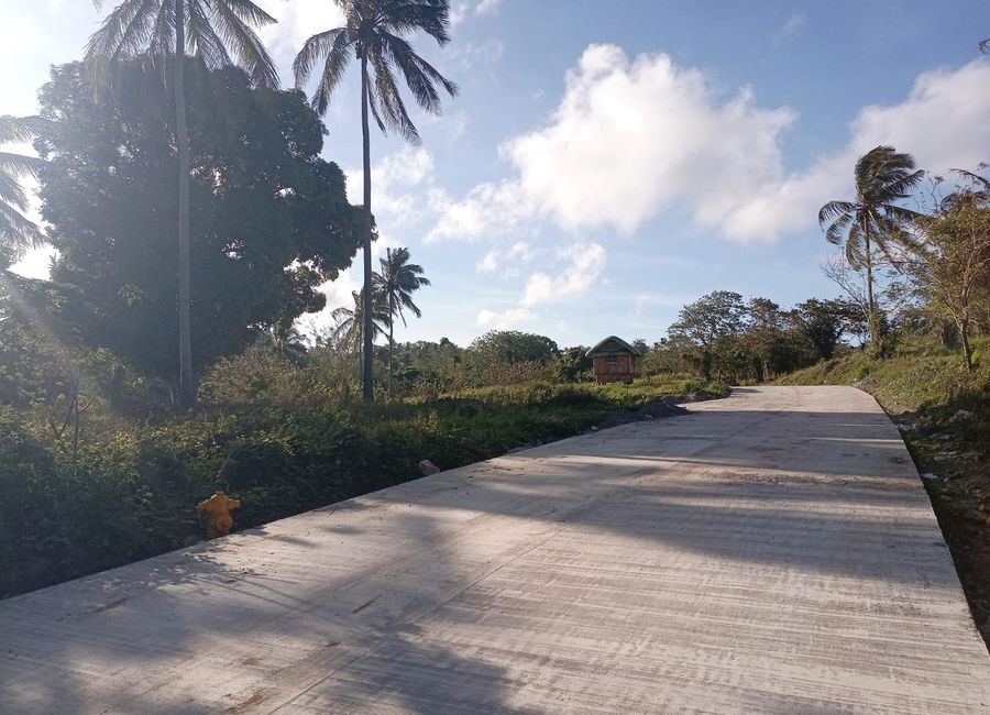 Farm lot for retirement and vacation house for sale in Alfonso Cavite