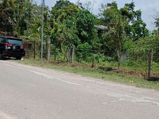 PRIME 6,000 SQM TITLED PROPERTY FOR SALE – CARCAR, CEBU