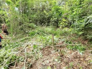 LOT FOR SALE in Dauis-Panglao Island, Bohol