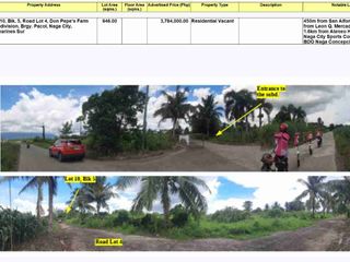 Vacant Lot for sale in Don Pepe's Farm, Naga City Camarines Sur