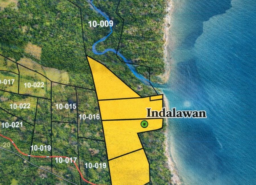 BEACH FRONT LOTS FOR SALE IN BALABAC