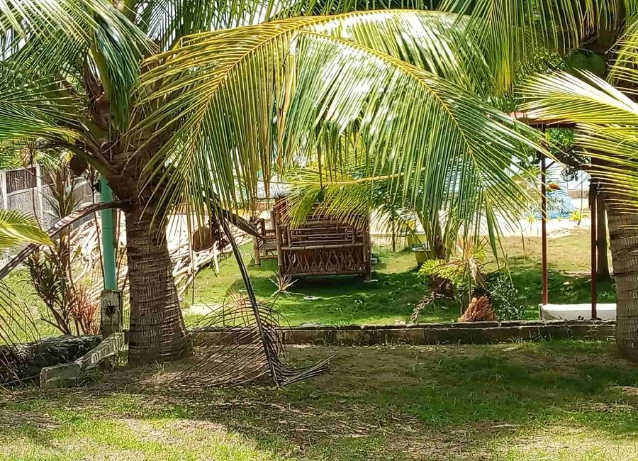 300 Sqm BeachFront in Campatol Talisay Daanbantayan Cebu, Philippines