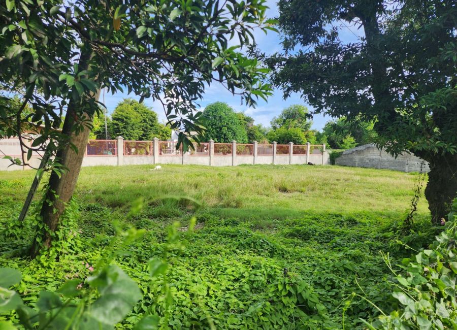 For Sale: 1, 068 sq.m. Corner Lot Villadodid Carcar Cebu