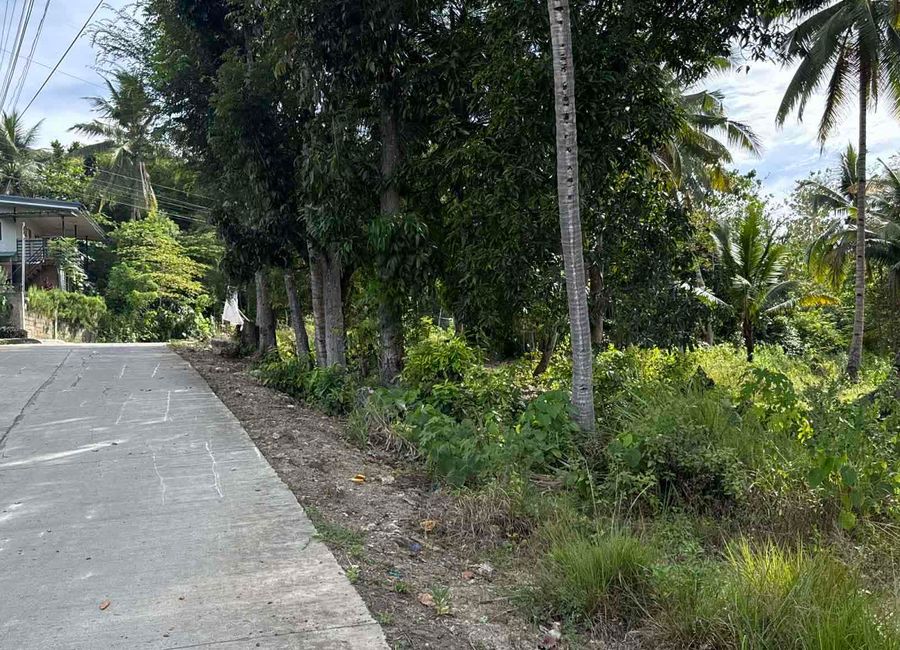 Taguanao Lot for Sale near Cuesta Roccia