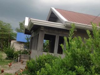 House and Lot 4 bedrooms fully fence with fruit bearing trees for Sale in Tarlac City