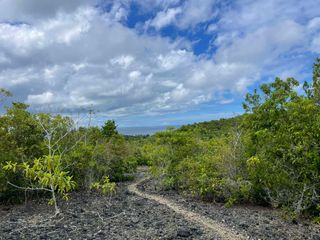 LOT FOR SALE IN SAN JUAN SIQUIJOR WITH PARTIAL OCEAN VIEW ID SIQ00202