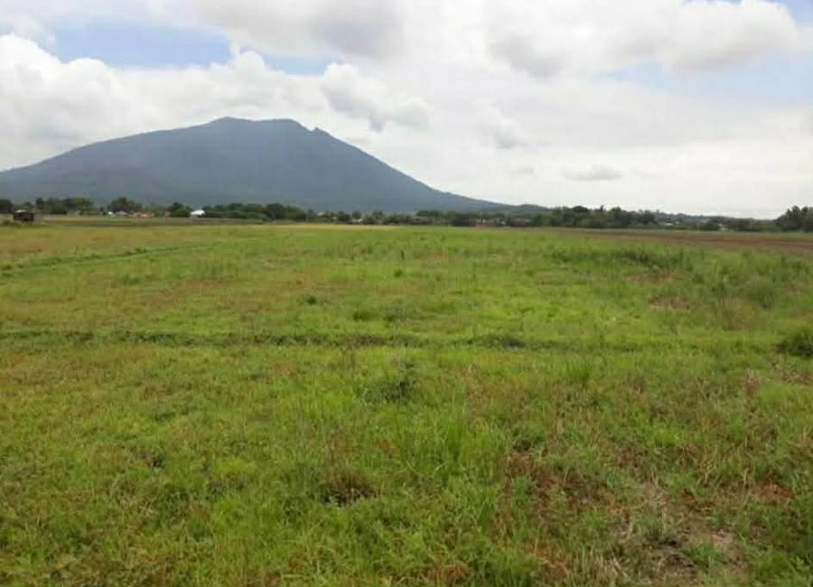Agricultural Lot 23,891 sqm with Mt. Arayat view for Sale in Arayat Pampanga